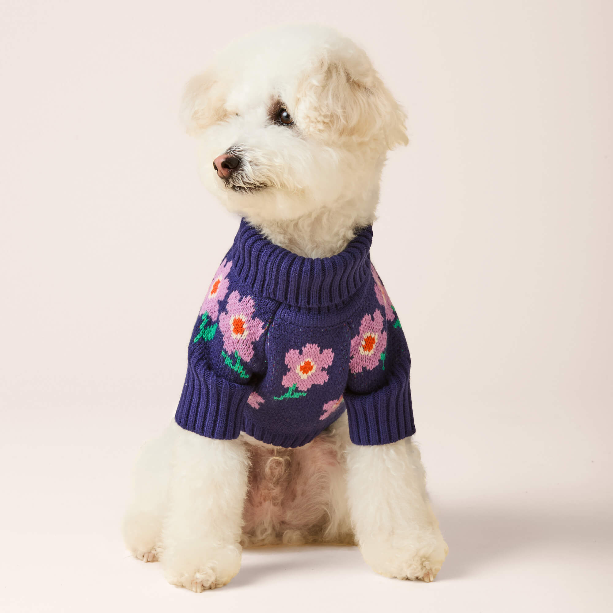 Purple Posies Dog Sweater – The Foggy Dog