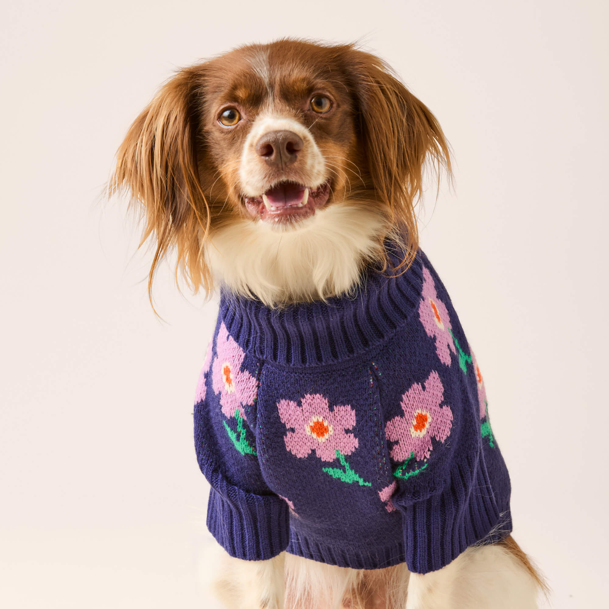 Purple Posies Dog Sweater – The Foggy Dog