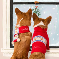 #Modeled by Tony (30lbs) in Medium