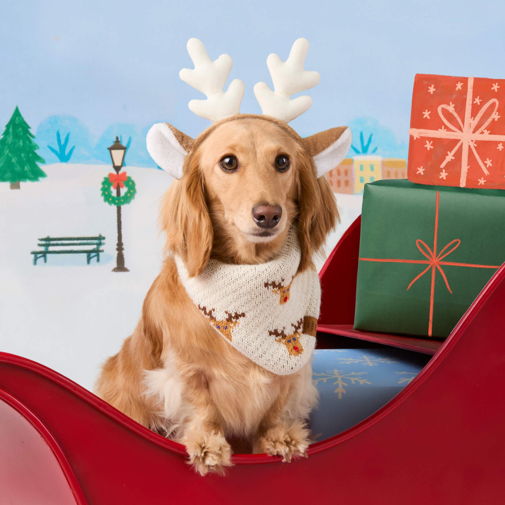 #Modeled by Charlie (12lbs) in Small