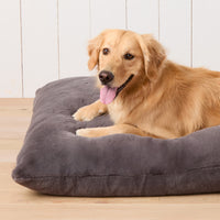 #Modeled by Holly (50lbs) on Large