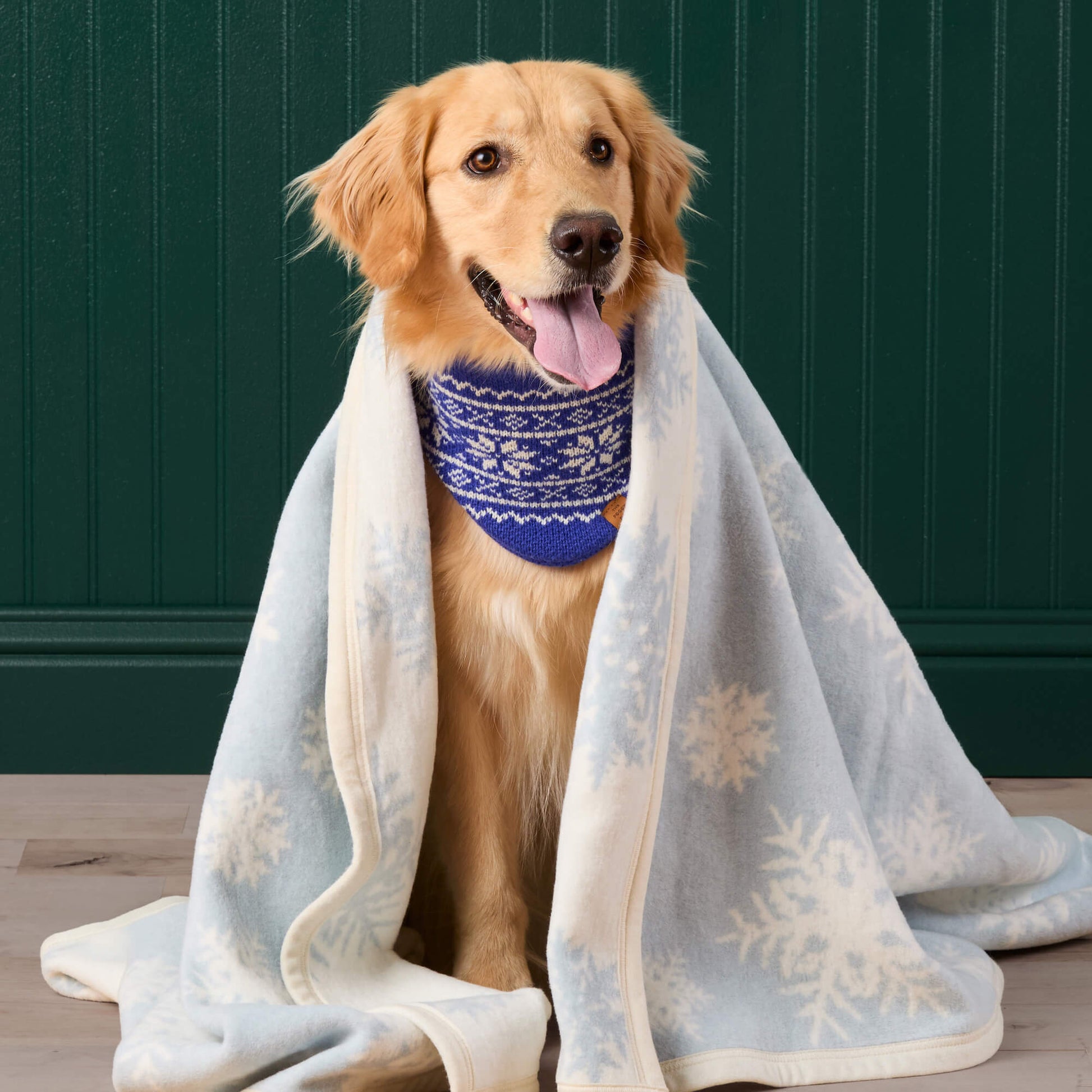 #Modeled by Holly (50lbs) in Midi