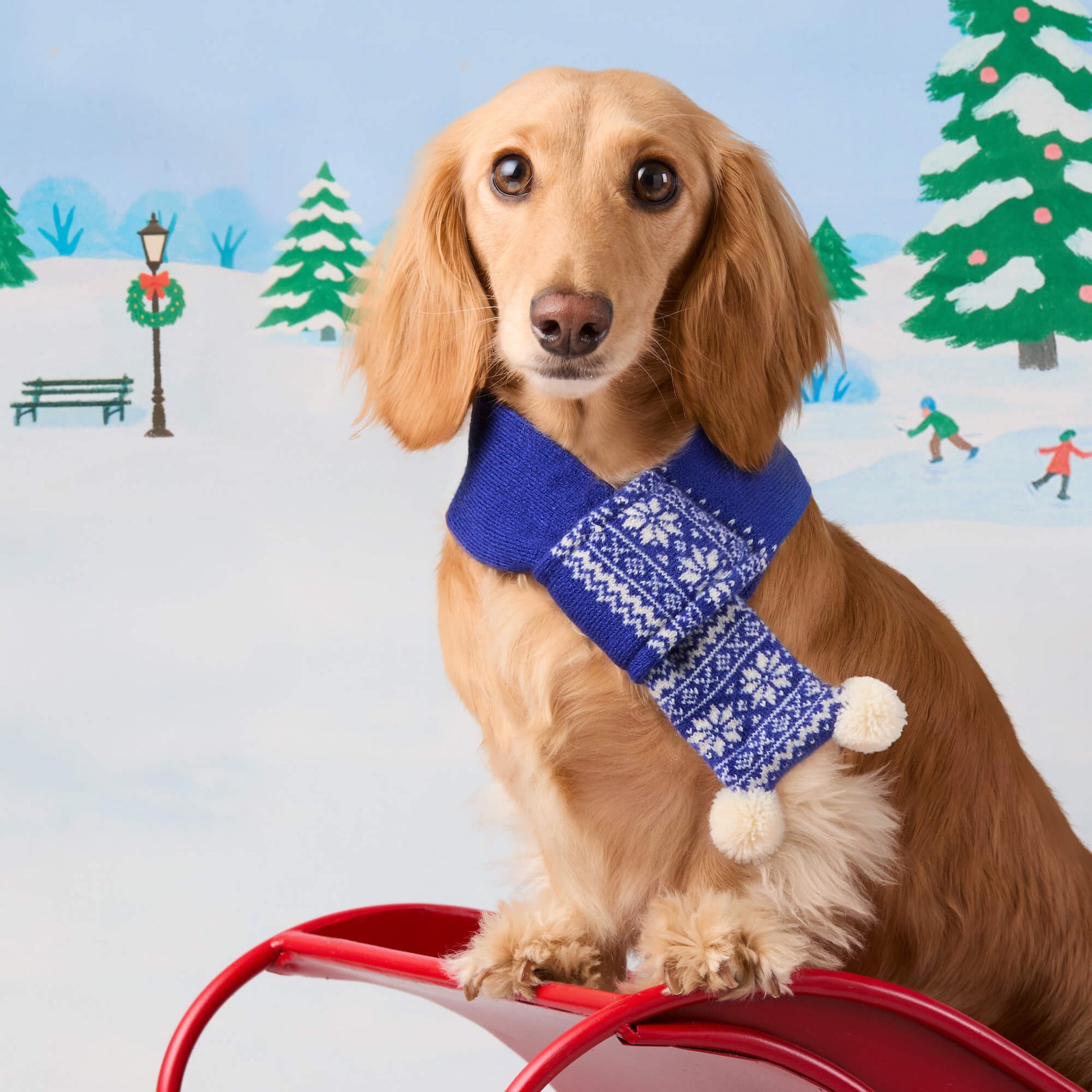 #Modeled by Charlie (12lbs) in Small