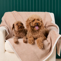 #Modeled by Moose (10lbs) and Utah (26lbs) on Midi