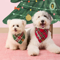 #Modeled by Goose (40lbs) in Medium