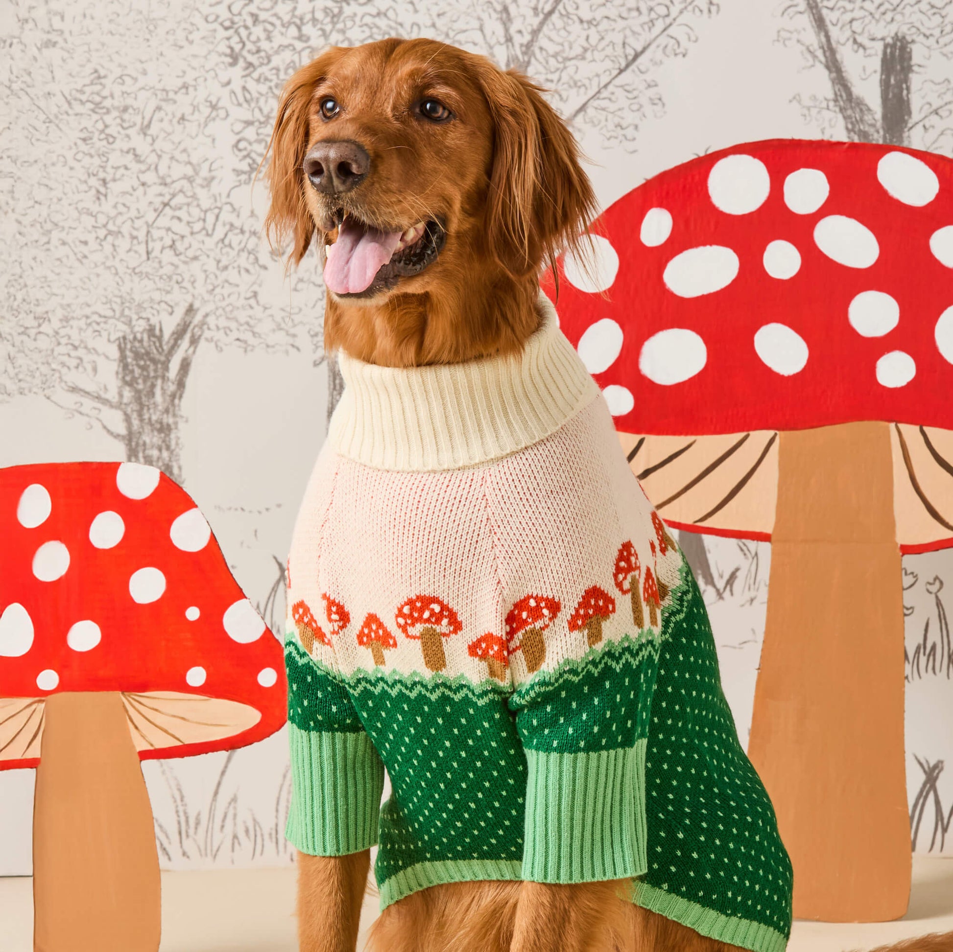 #Modeled by Goose (80lbs) in X-Large