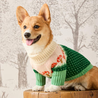 #Modeled by Foxy (14lbs) in Small