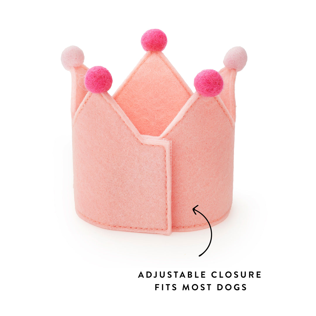 Blush Pink Dog Birthday Crown from The Foggy Dog