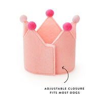 Blush Pink Dog Birthday Crown from The Foggy Dog