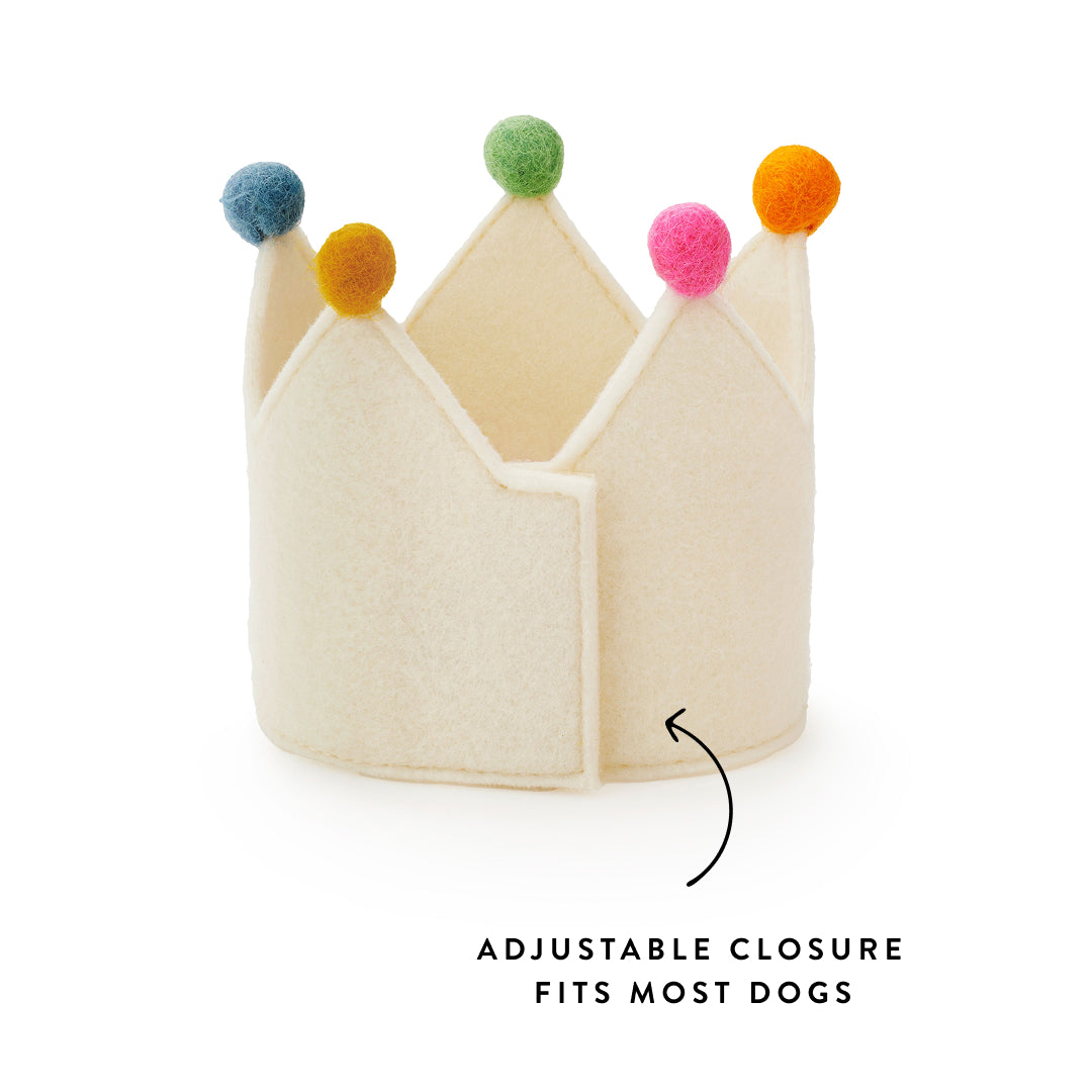 Ivory Dog Birthday Crown from The Foggy Dog