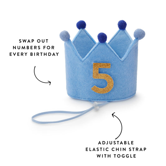 Light Blue Dog Birthday Crown + Numbers Set