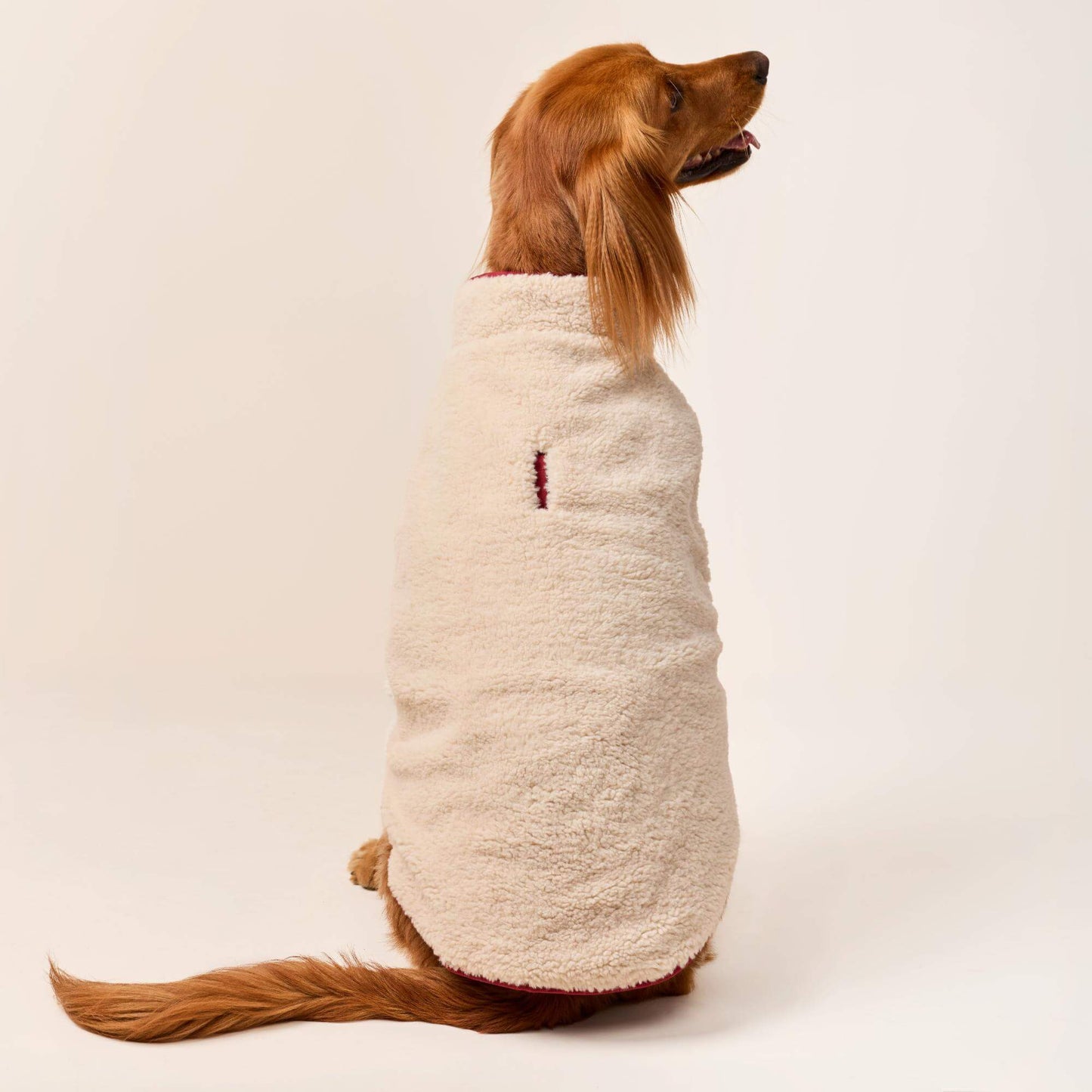 #Modeled by Maple (45lbs) in Large