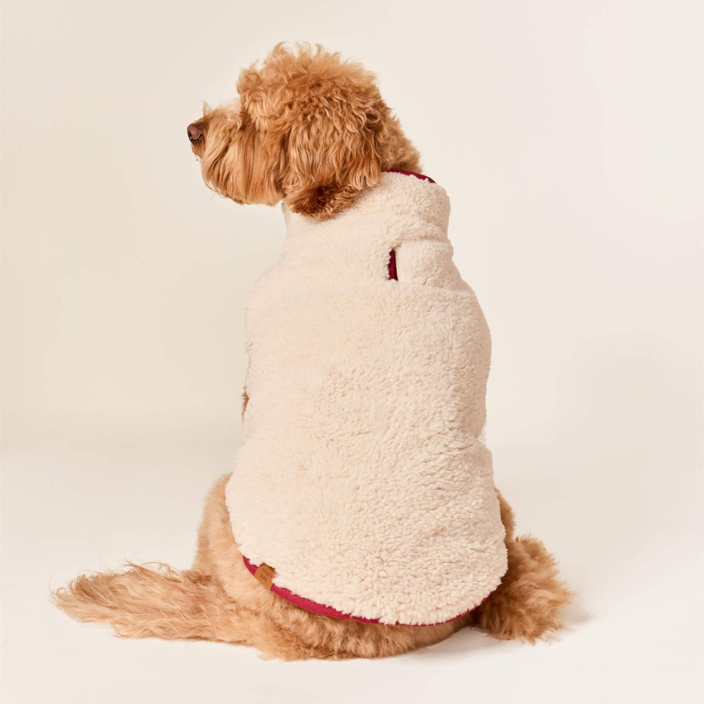 #Modeled by Poppy (20lbs) in Medium
