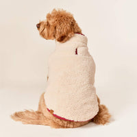 #Modeled by Poppy (20lbs) in Medium
