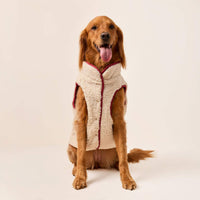 #Modeled by Maple (45lbs) in Large