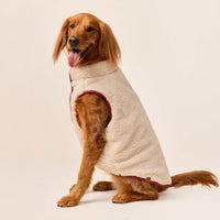 #Modeled by Maple (45lbs) in Large