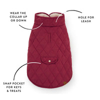 Currant Sherpa-Lined Reversible Dog Jacket from The Foggy Dog