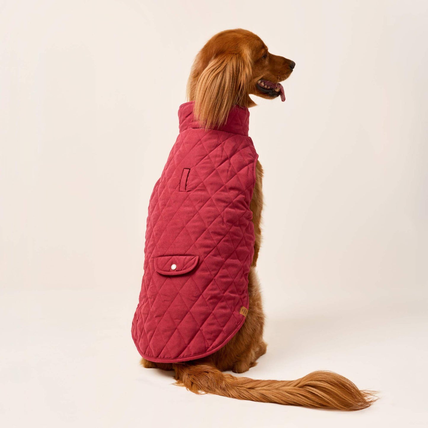 #Modeled by Maple (45lbs) in Large
