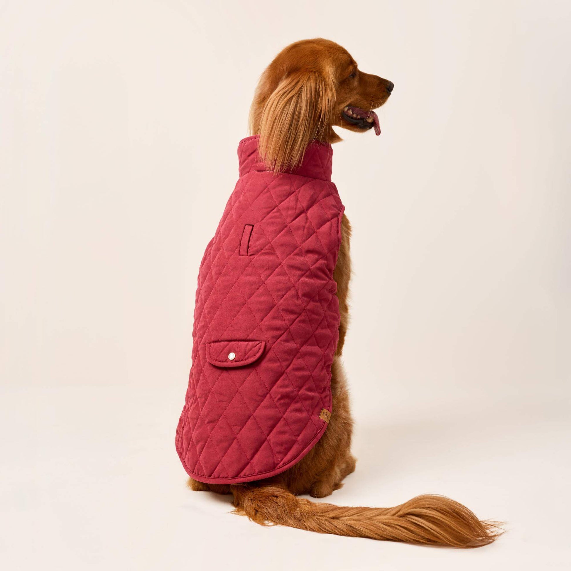 #Modeled by Maple (45lbs) in Large