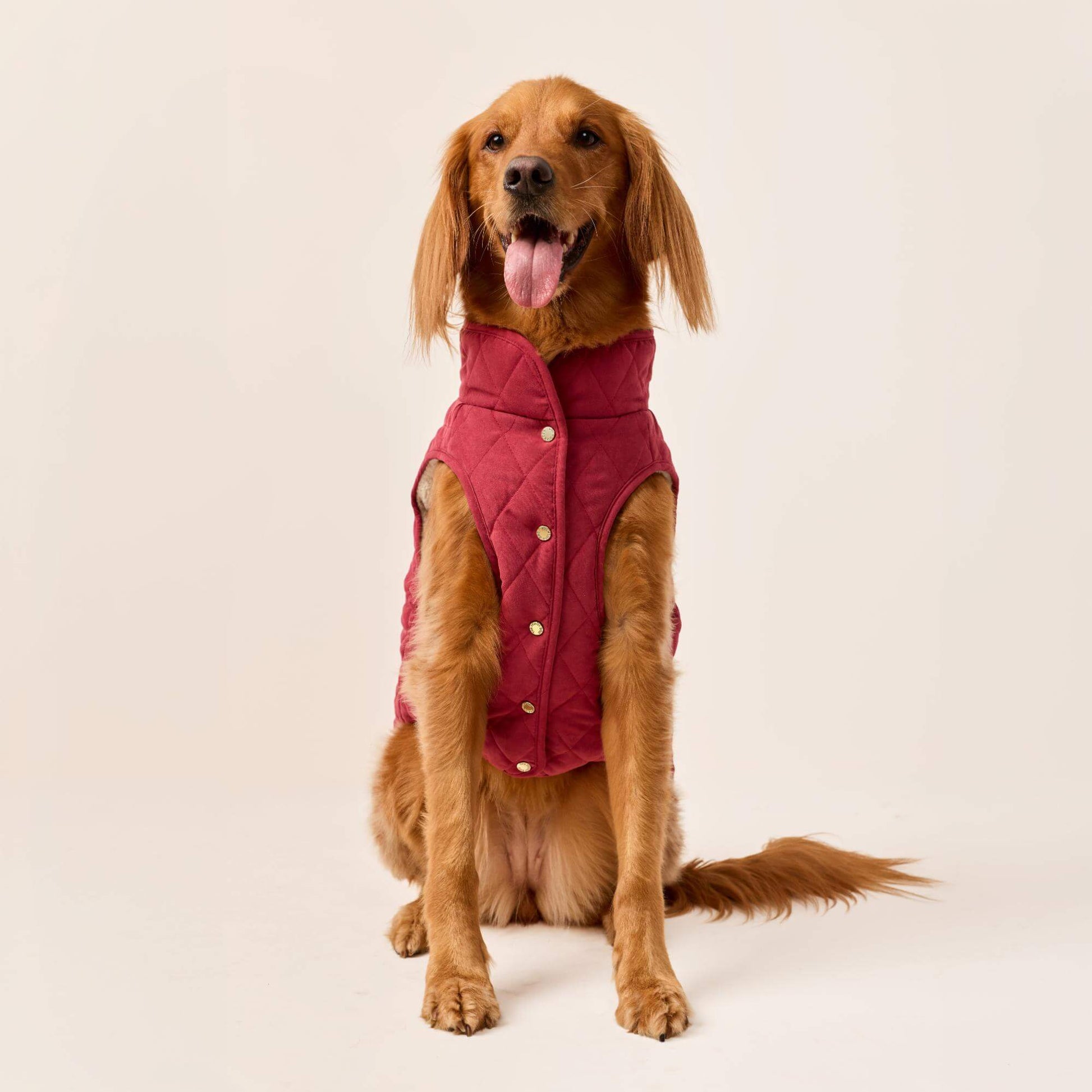 #Modeled by Maple (45lbs) in Large