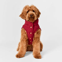 #Modeled by Poppy (20lbs) in Medium