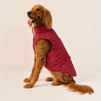#Modeled by Maple (45lbs) in Large