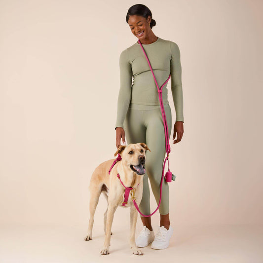Active Everyday Harness Walk Set - With Handle (M/L), Dahlia view 2