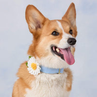 #Modeled by Tony (30lbs) in Medium