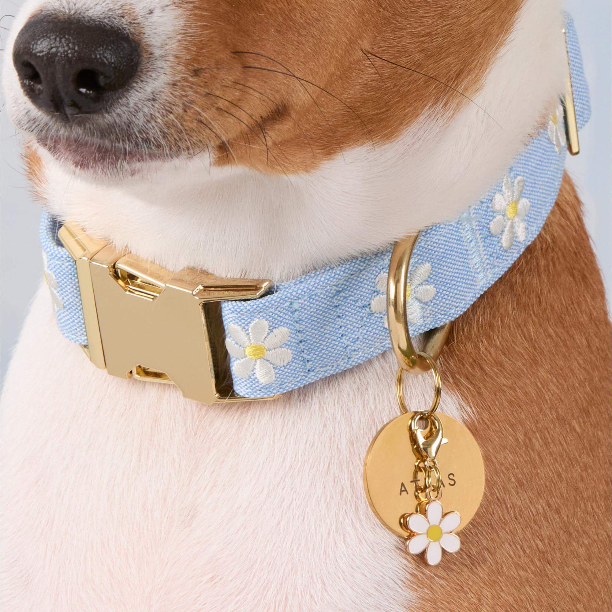 Daisy Collar Charm – The Foggy Dog