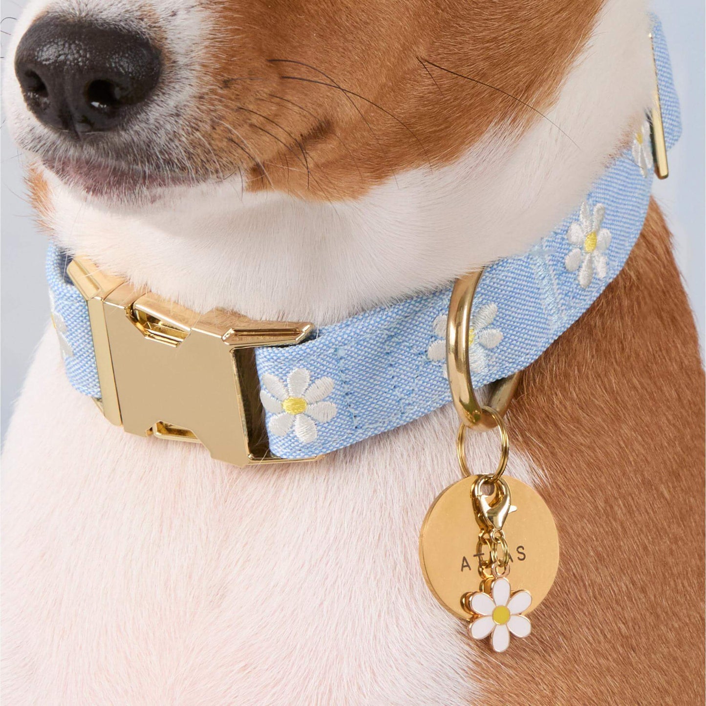 Daisy Collar Charm from The Foggy Dog