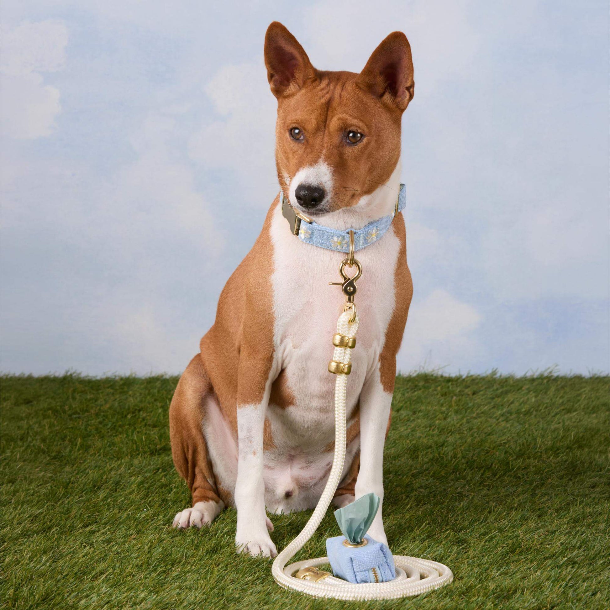 Blue Chambray Canvas Waste Bag Holder from The Foggy Dog