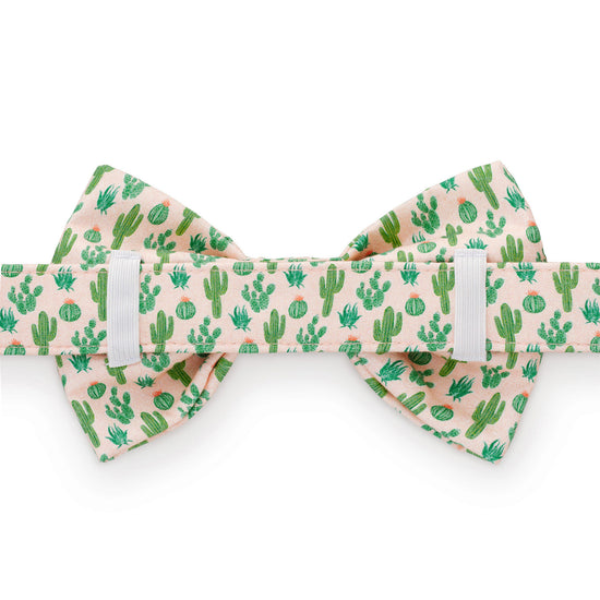 Desert Cactus Bow Tie Collar from The Foggy Dog