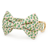 Desert Cactus Bow Tie Collar from The Foggy Dog