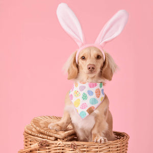 #Modeled by Finley (11lbs) in Small