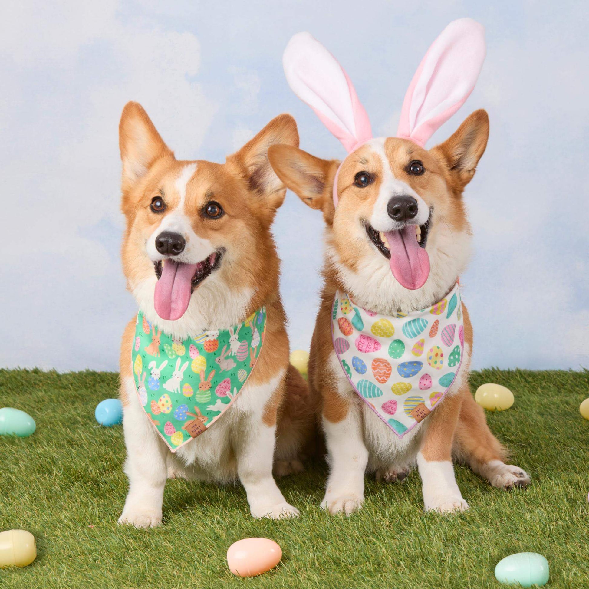 #Modeled by Captain and Tony (30lbs) both in Medium