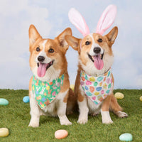 #Modeled by Captain and Tony (30lbs) both in Medium