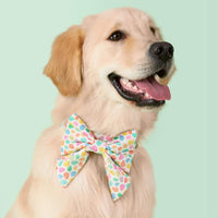 #Modeled by Genji (45lbs) in a Large lady bow