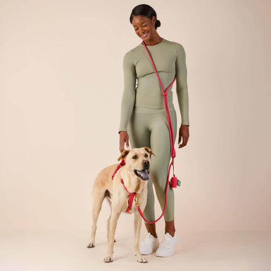 Active Everyday Harness Walk Set - With Handle (M/L), Ember view 2
