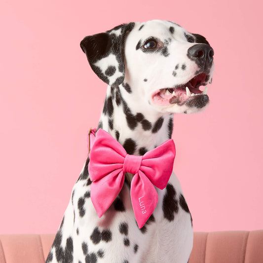 #Modeled by Lava (25lbs) in a Large lady bow