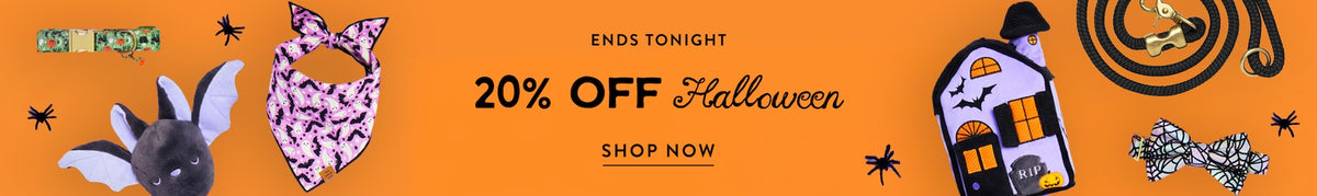 Halloween sale 20% off at The Foggy Dog