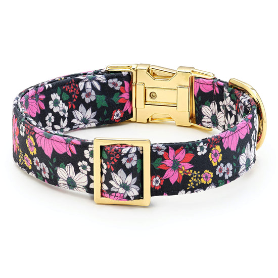 Draper James x TFD Evening Floral Dog Collar from The Foggy Dog