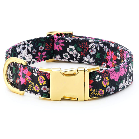 Draper James x TFD Evening Floral Dog Collar from The Foggy Dog