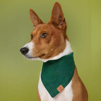 #Modeled by Ricky (27lbs) in Medium