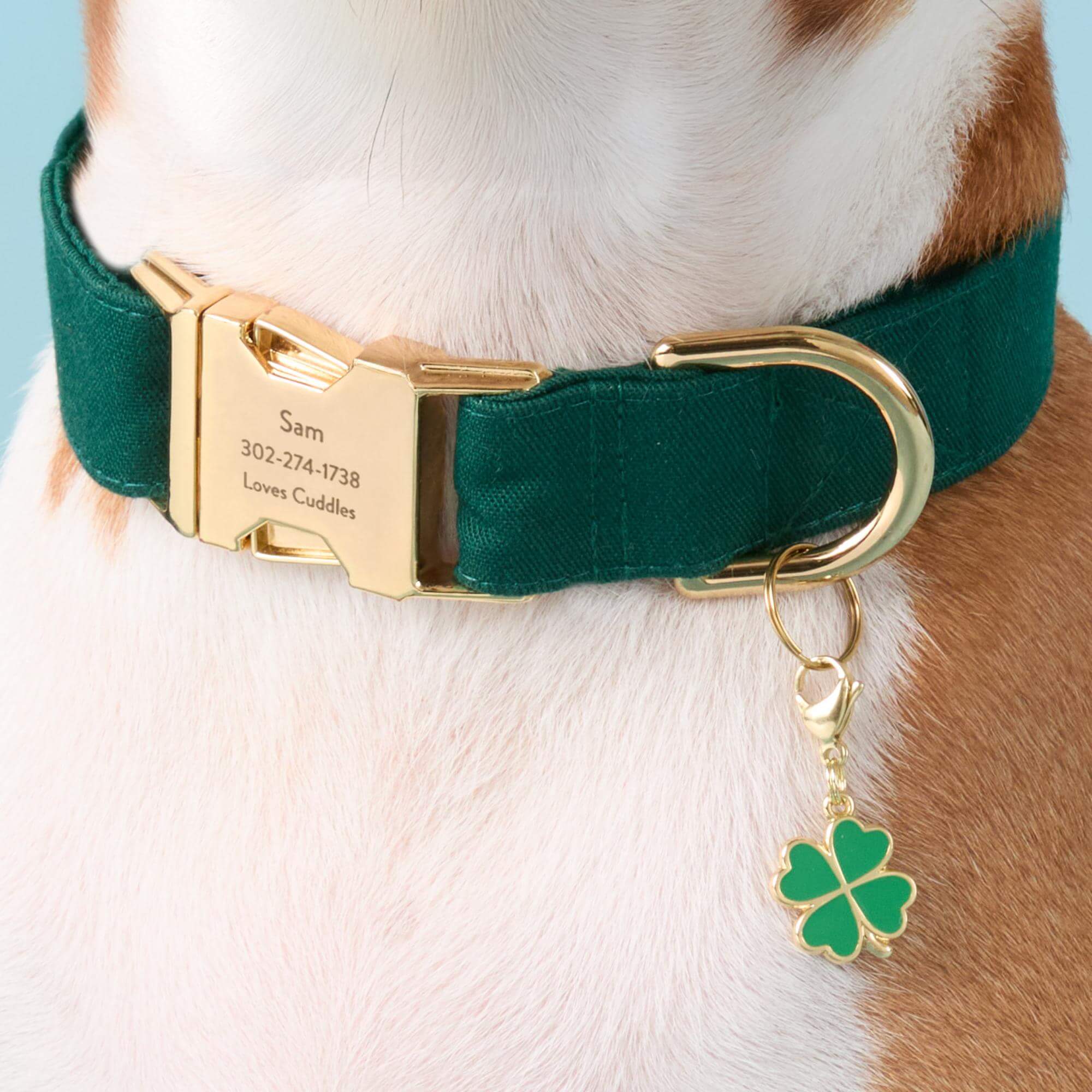 Lucky Clover Collar Charm – The Foggy Dog