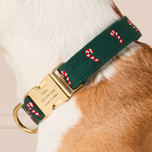 Evergreen Candy Canes Embroidered Dog Collar view 2