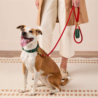 #Modeled by Sadie (27lbs) in a Medium collar and Standard leash