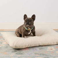 #Modeled by Kora (19lbs) on Large
