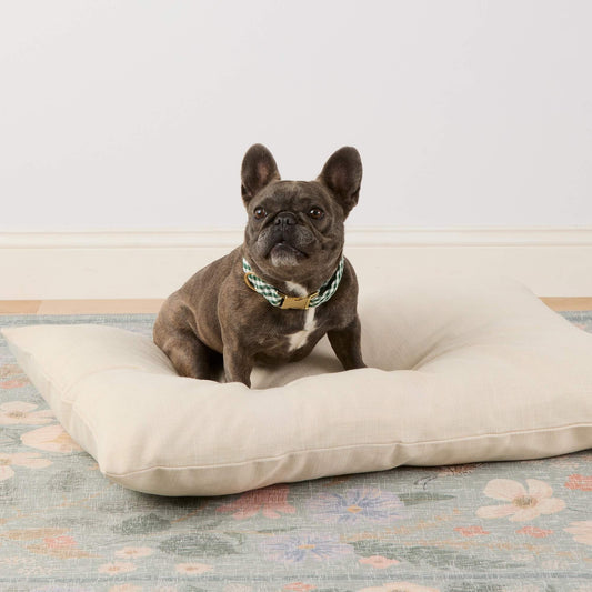 #Modeled by Kora (19lbs) on Large