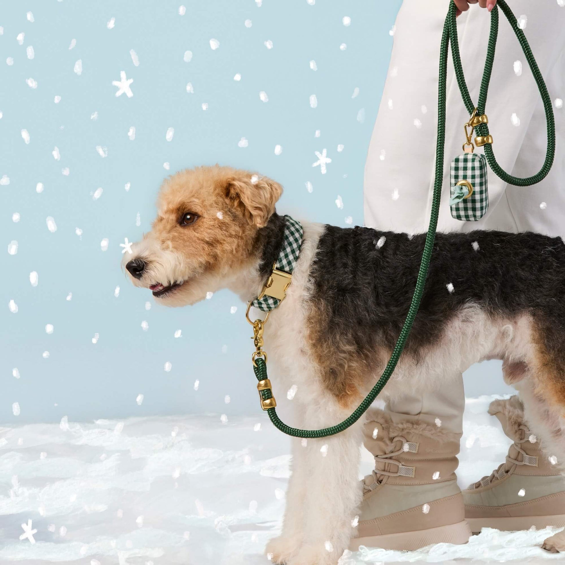 #Modeled by Sesame (25lbs) in a Medium collar and Standard leash