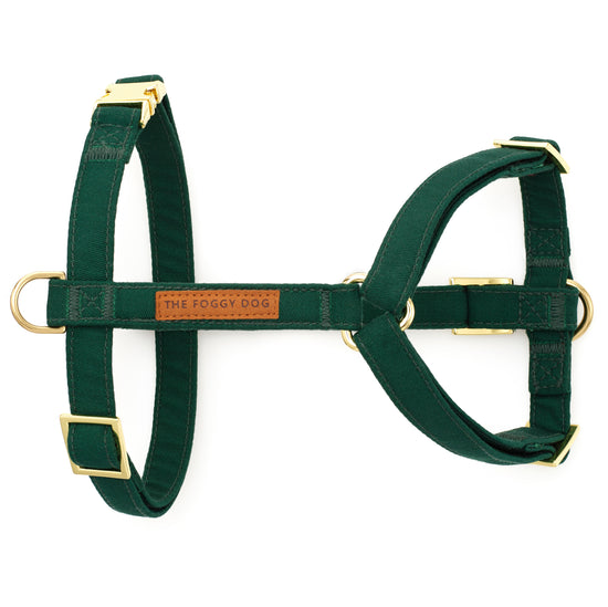 Evergreen Dog Harness from The Foggy Dog